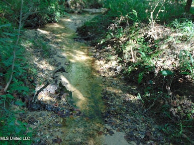 1015 Tarver Ln, Wesson, MS 39191 - photo 3