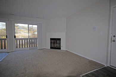 336 Mulberry Ct unit C2, Bartlett, IL 60103 - photo 4