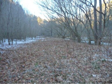 Over 1000 feet on the Ivy Rvr