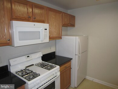 6510 Lake Park Dr unit 205, Greenbelt, MD 20770 - photo 7
