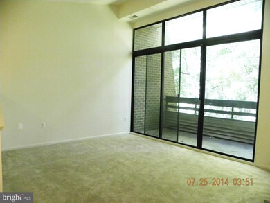 2108 Green Watch Way unit 301, Reston, VA 20191 - photo 2