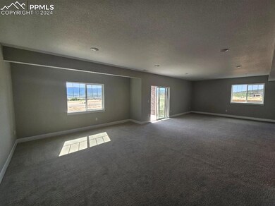 Unfurnished room featuring carpet and a textured c