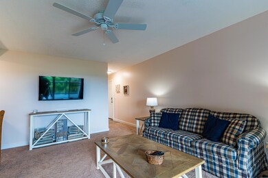 Treehouse Lane - Living Room 2