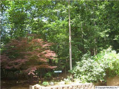 2911 Green Mountain Rd SE, Huntsville, AL 35803 - photo 3