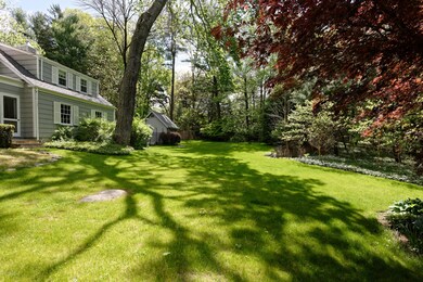 Back Lawn