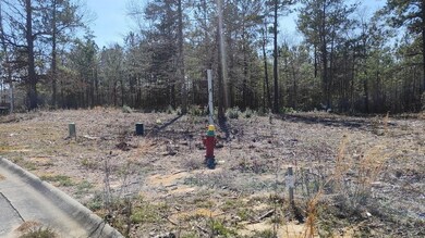 NHN Lot 33 Magenta Ln, Picayune, MS 39466 - photo 2