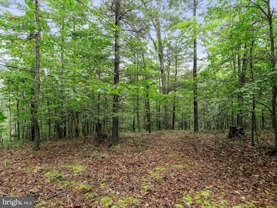 0 Somers Ln, Berkeley Springs, WV 25411 - photo 5