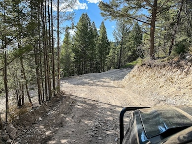 Tbd Gold Coin Ln, Anaconda, MT 59711 - photo 6