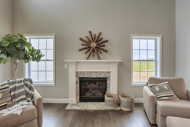 303 Collins Dr, Mahomet, IL 61853 - photo 5