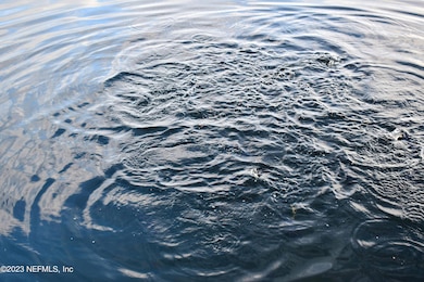 0 Simpson Dr unit 2001036, Interlachen, FL 32148 - photo 7