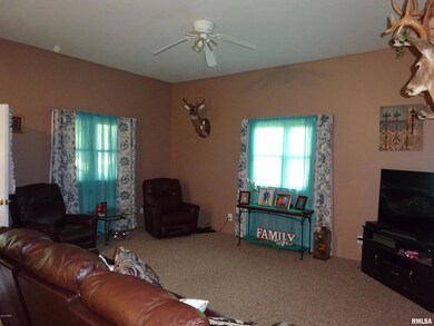 910 Lewis Rd, Harrisburg, IL 62946 - photo 3