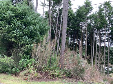 TL1100 SW Bard Rd, Lincoln City, OR 97367 - photo 3