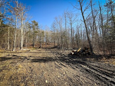 0 Langford Creek Rd unit LotWP001, van Etten, NY 14889 - photo 6