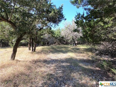 5249 Comanche Dr, Temple, TX 76502 - photo 6