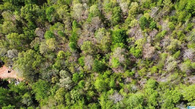 0 Lake Geneva Dr unit 25 21415570, Wedowee, AL 36278 - photo 5