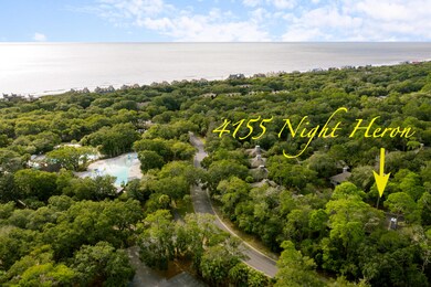 4155 Night Heron Drone-6