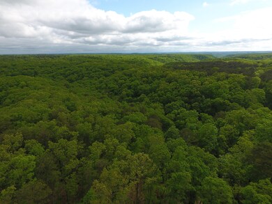 DJI_0287