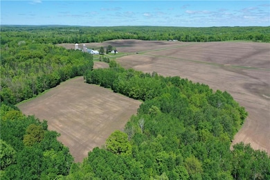 0 Horseshoe Lake Rd, Chetek, WI 54728 - photo 5