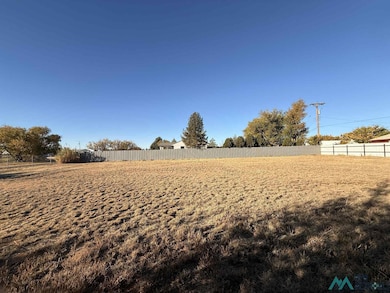 116 Lynn Ave, Clovis, NM 88101 - photo 2