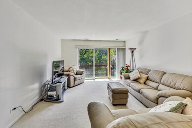 3110 Pheasant Creek Dr unit 207, Northbrook, IL 60062 - photo 4