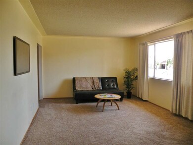 Large Living Room, Picture Window
