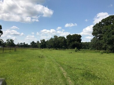 29700 Joseph Rd, Hockley, TX 77447 - photo 3