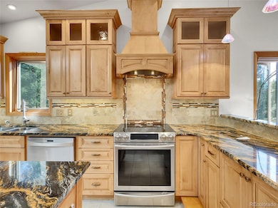 25227 Red Cloud Dr, Conifer, CO 80433 - photo 7