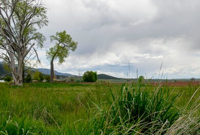 DSC_1158