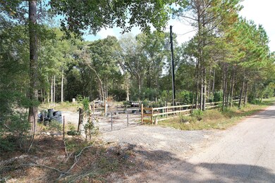 17648 Rhonda Ln, Montgomery, TX 77316 - photo 6