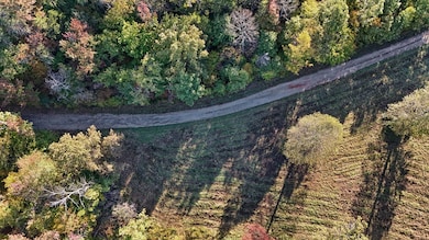 0 Allen Rosen Rd, Dillwyn, VA 23936 - photo 3