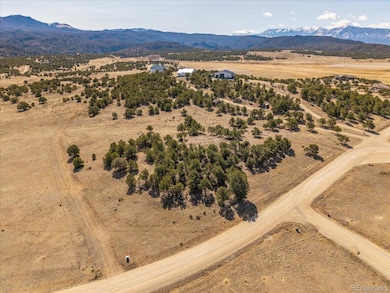 10246 Rawhide Creek Rd, Nathrop, CO 81236 - photo 3