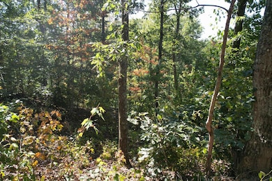 0 Evan Sisters Rd, Flemingsburg, KY 41041 - photo 2