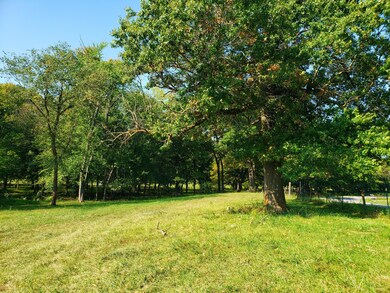 perfect mix of open and woods