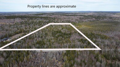 Property Lines
