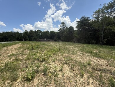 0 Coal Rd unit RTC2930385, Jamestown, TN 38556 - photo 5