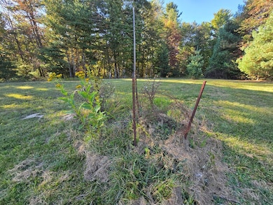 0A Ellison Ridge Rd, Jumping Branch, WV 25969 - photo 5