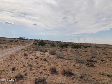 5324 White Antelope Rd, Snowflake, AZ 85937 - photo 5