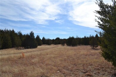 Property looking south.