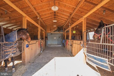 16873 Chestnut Overlook Dr, Purcellville, VA 20132 - photo 4