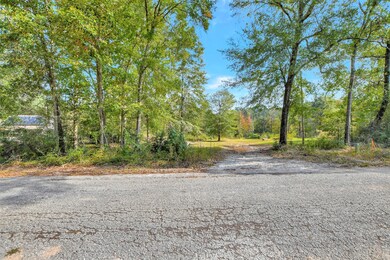 107 Bonnie Creek Dr, Coldspring, TX 77331 - photo 4