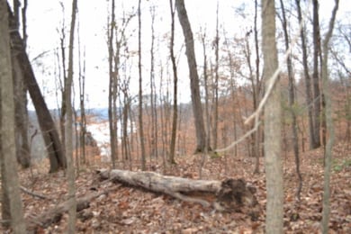 34.15ac Frogue Rd, Burkesville, KY 42717 - photo 6