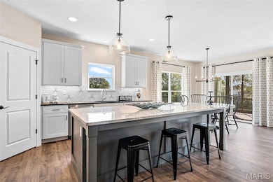 144 Columbia Meadows Ln, O'Fallon, MO 63366 - photo 6