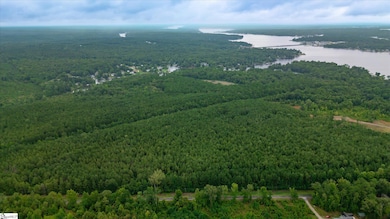 00 Shrine Club Rd, Waterloo, SC 29384 - photo 7