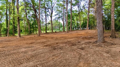 tbd E Pliler Precise Rd, Longview, TX 75605 - photo 3