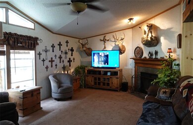 7045 County Road 551, Brownwood, TX 76801 - photo 5