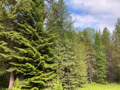 139 Graham Grove Ln, Trout Creek, MT 59874 - photo 5