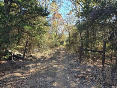 26000 Bokoshe Mountain Ln, Bokoshe, OK 74930 - photo 6