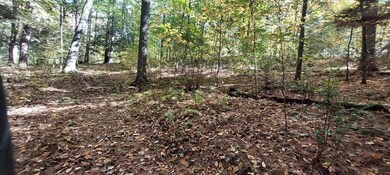 Lot-D Harkness Rd, Amherst, MA 01002 - photo 7