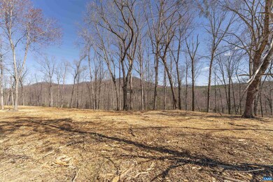 Lot 3 Rockfish Valley Hwy unit 3, Afton, VA 22920 - photo 2