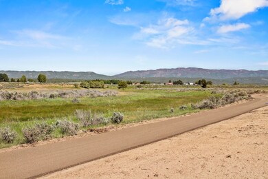 Pathway Leading to Payette River